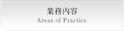 業務内容 Areas of Practice